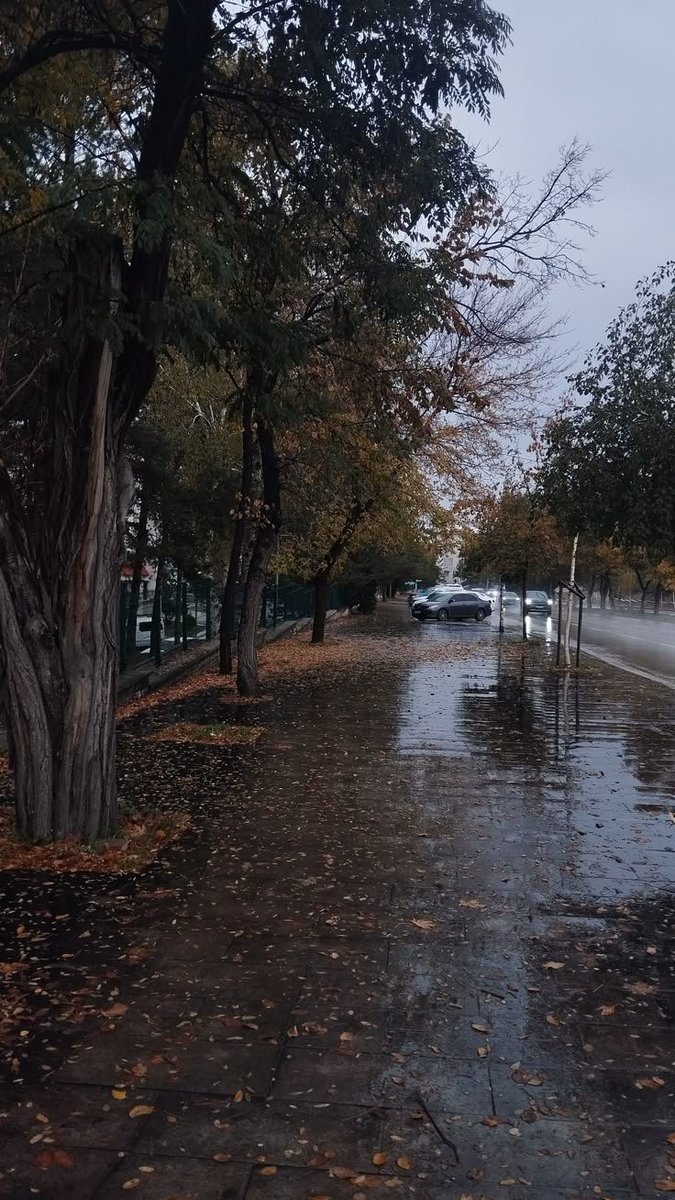talya9646171863's tweet photo. Streets in autumn 🍂🧺🌧️ https://t.co/uuwqkW2sbt