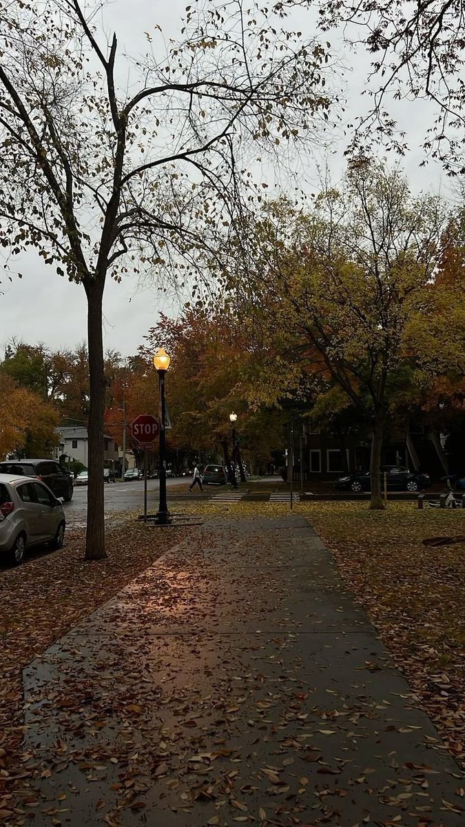 talya9646171863's tweet photo. Streets in autumn 🍂🧺🌧️ https://t.co/uuwqkW2sbt