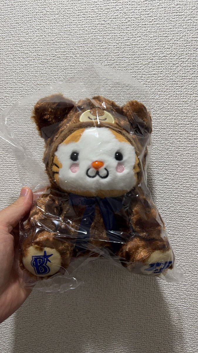 nitty_Radio's tweet photo. うちの玄関にピッタリじゃんか笑 https://t.co/DTLNC8ZPYg