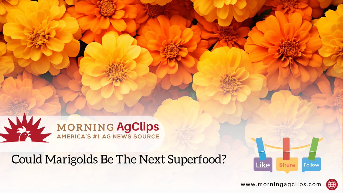 AgClips tweet picture