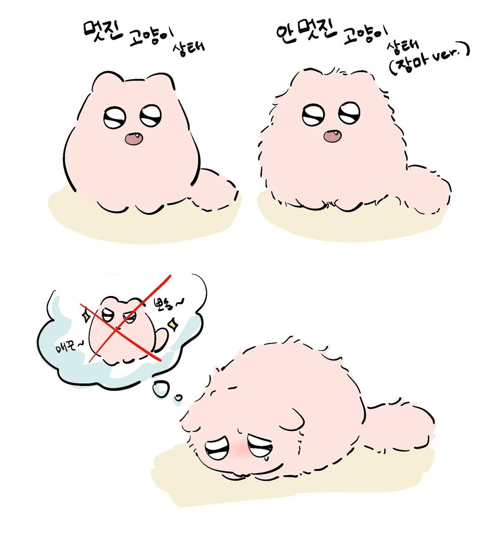 안개 tweet media