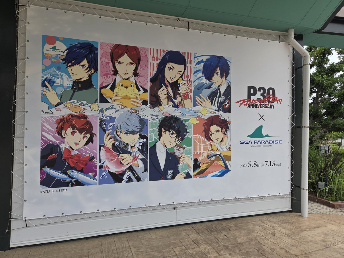 gogogongo_'s tweet photo. シーパラ行ってきてました！！🫍
海風をモロに喰らって初手から髪の毛ｸﾁｬｧ〜になったけど、気温はそこまで暑くなくてスタンプラリーもパネル巡りも順調にできた！アザラシ可愛かったﾎﾟﾆｮﾎﾟﾆｮ https://t.co/OZrMDhv9Ao