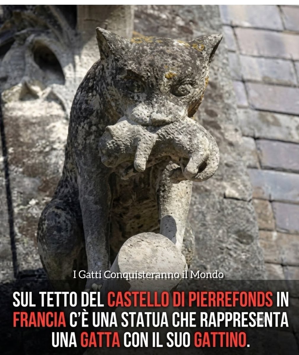 LUCA BRAMBILLA tweet media