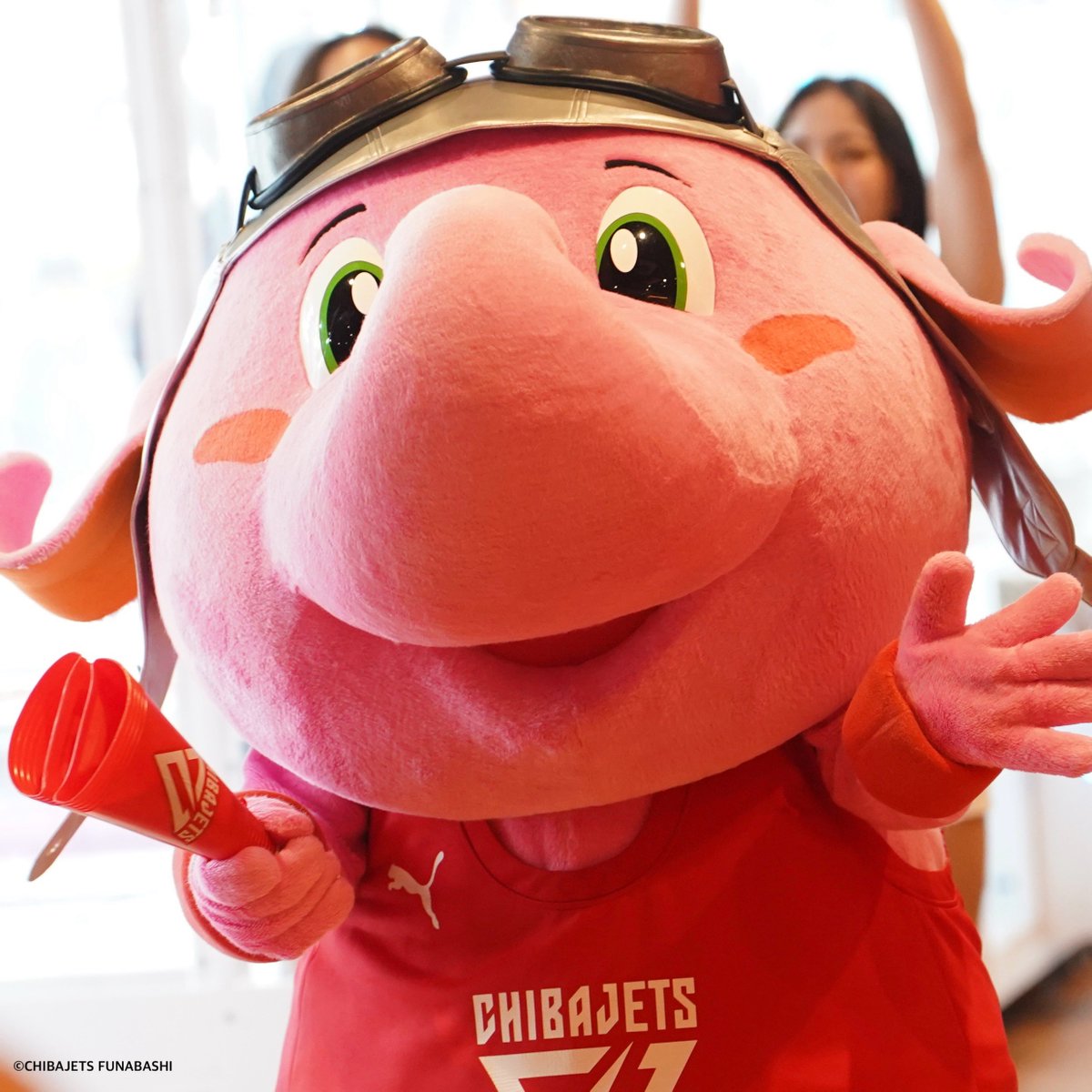 Jumbokun_GOJETS's tweet photo. オフシーズンイベントだい1だんわGiGOららテラスTOKYOBAYさんと「さつえいかい」と「1にちてんちょうイベント」やることになったゾウ！！みんなにきてもらいたいから、ようチェックしてねー♪るん♪

8がつ2にち　さつえいかい
8がつ16にち　1にちてんちょう https://t.co/qdJRpvrozu
