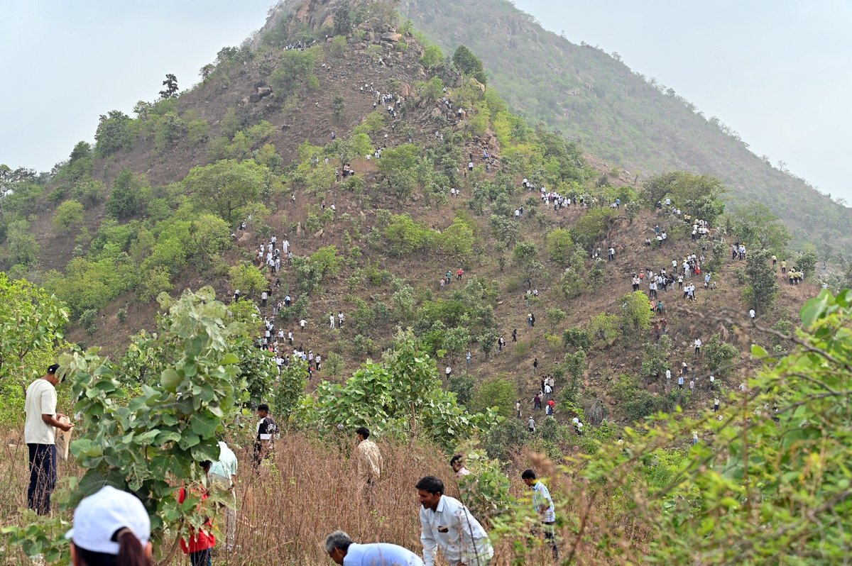 ChaudhryShankar's tweet photo. Taking forward Hon'ble PM Shri @narendramodi Ji's vision of the Aravalli Green Wall, the Seed Ball for Green Wall campaign was launched today from Ambaji. https://t.co/JlUIyM8yGn
