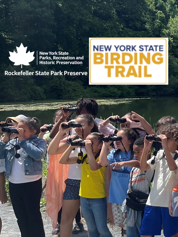 RSPP_RangerSu's tweet photo. Family Birding Workshop♿
Saturday, July 18 from 9:30am-11am

Now that the spring migration is over, the Preserve is packed with new birds! You just have to know where to look
Bring the family for a morning of exploration as we search the Preserve for colorful songbirds, soaring hawks, busy woodpeckers, and whatever feathered surprises the day brings.
Along the way, you’ll learn simple birding skills that will help you notice wildlife wherever you go, even in your own backyard.

No matter what your age, birding is a hobby that can last a lifetime. We hope to see you there!

Photo courtesy of Anne Swaim

Register at: https://t.co/K0yEvL4XVy
