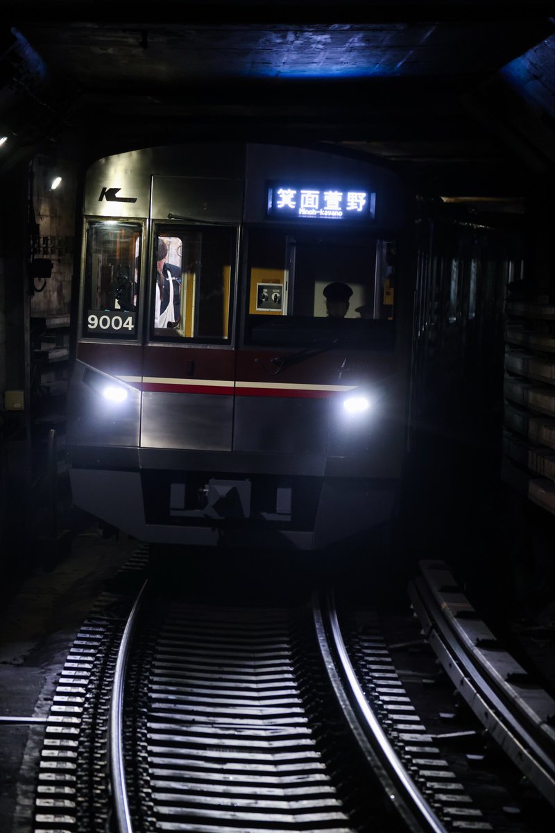 tsk12369588's tweet photo. 竹林ラッピングが解除されてから見るのは初 https://t.co/f2zTB7hcf0