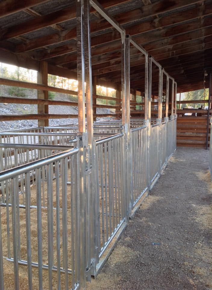 TritonBarns's tweet photo. Most pens look good in year one. Ours are built for year 25. 12-gauge steel, cope-welded joints, no-climb design, backed by a 25-year rust-free warranty. Fairgrounds, equestrian facilities, livestock arenas—equipment that won't quit on you mid-season.

Call 800-918-6765 https://t.co/Y09wTC4anX