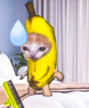 CryptoL15286's tweet photo. @YouTube 1 cat rules all tho. banana cat https://t.co/ytyoNTa6iD