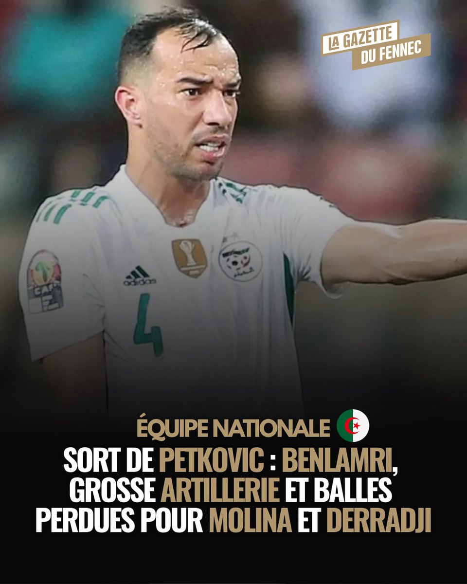 La Gazette du Fennec tweet media