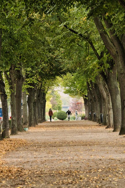 QWhitman69988's tweet photo. حينها فقط ندرك أن يحمي الثقة داخل الرومانسية القلوب. agatha crutch🐝 https://t.co/Quqk5H1EK5
