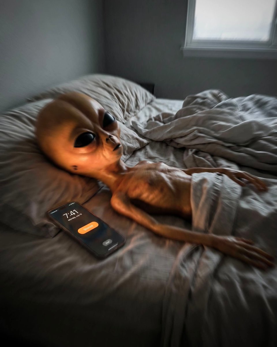 OGLilMayo's tweet photo. when your alarm goes off and it's day 148 of getting this bread https://t.co/4AgdObh5VB