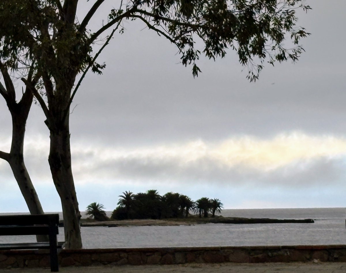 albertosilvauy's tweet photo. La muy especial #IsladelasGaviotas, así luce esta mañana.
Tuve el honor de visitarla, remando junto al Cnel #WalterMalán, en su especial canoa que trajo de Paraguay.
El estuvo en el control de #votos x el #PartidoNacional en 1971, y me detalló el fraude electoral contra #Wilson. https://t.co/89Y8GaqaJ1