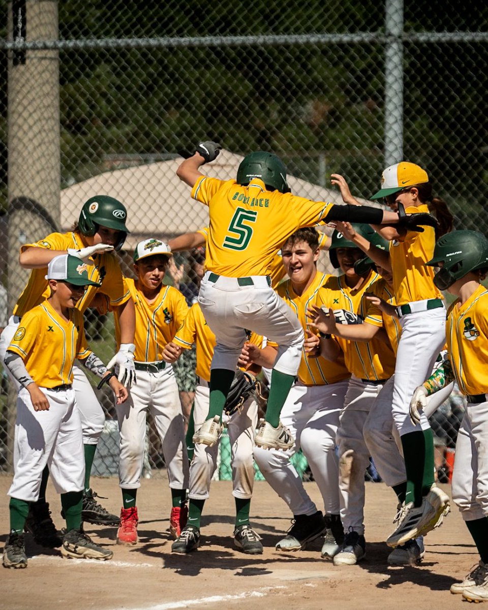 Baseball Ontario tweet media