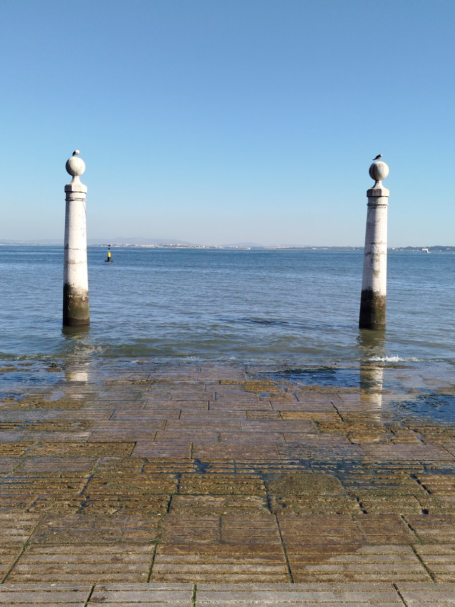 Cinnamaldeide's tweet photo. 2026, July. Cais das Colunas, Lisbon
#CaisdasColunas #dock #columns #Lisboa #Portugal https://t.co/Y6ZmqecgBK