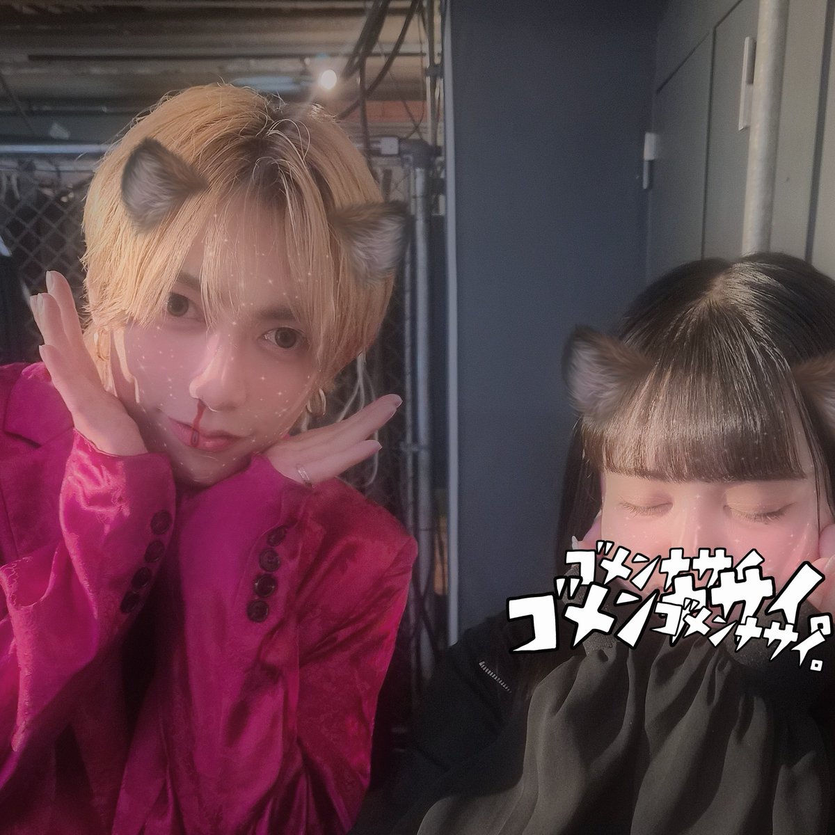 mas___ky's tweet photo. たまにゃいやことも言って
したくない喧嘩もしたりしてー🎶 https://t.co/KKx9y8xP31