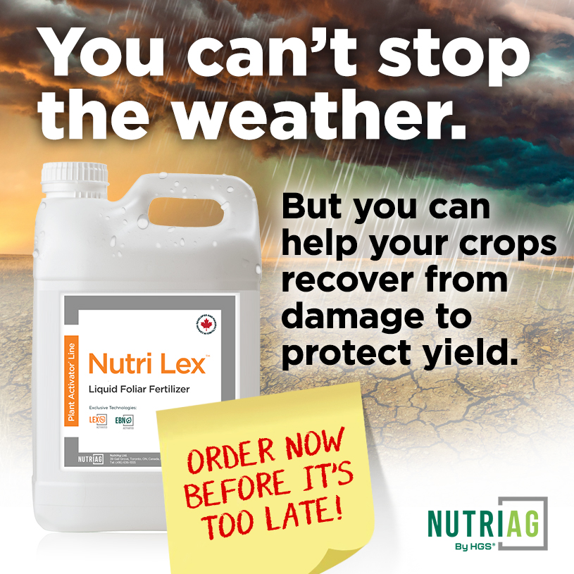 NutriAg's tweet photo. Late-season conditions can change quickly. Keep your crop nutrition strategy ready!

Nutri Lex™ supports active plant growth during key reproductive stages, helping maintain nutrient availability when crops face heat, drought, excess moisture, or hail

Stay ready with Nutri Lex https://t.co/3g9xK4P0Ja