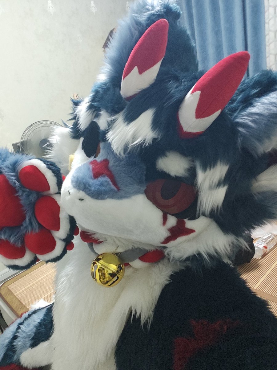 RennautFox's tweet photo. 我来发点龙😋
#furry #兽人 #兽圈 #福瑞 #福瑞控 https://t.co/KntX6jq9FT