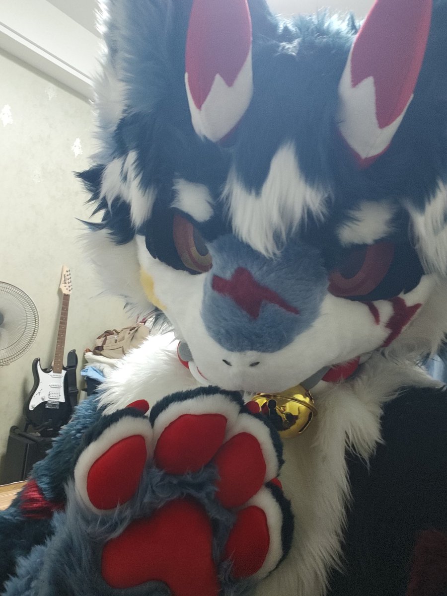 RennautFox's tweet photo. 我来发点龙😋
#furry #兽人 #兽圈 #福瑞 #福瑞控 https://t.co/KntX6jq9FT