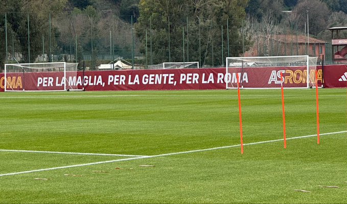 Alessandro Procopiuc tweet media