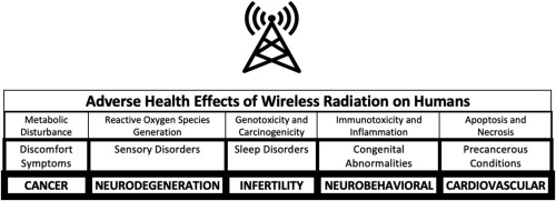 Anti5GWarrior's tweet photo. "Adverse health effects of 5G mobile networking technology under real-life conditions"
#WirelessCommunications 🛜☢️

https://t.co/16St1M8006 https://t.co/Xj07aAmYpT