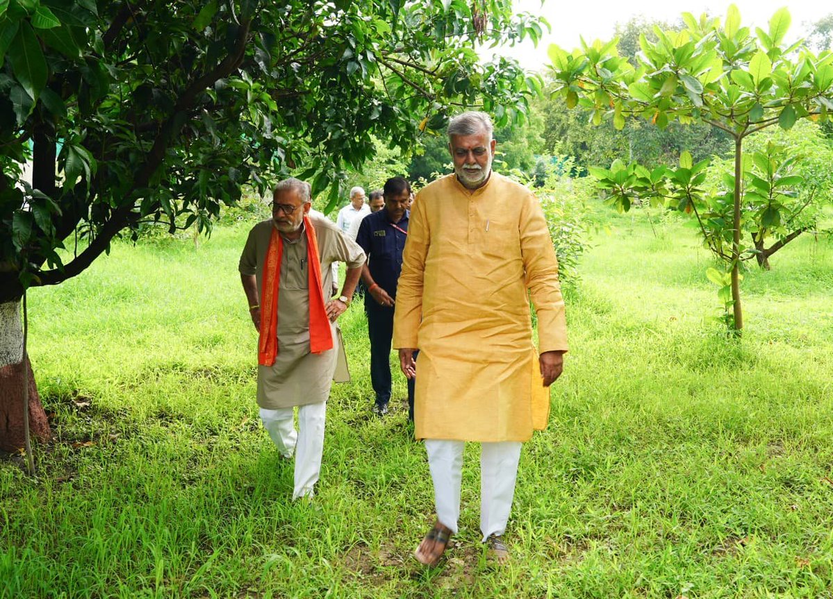 prahladspatel's tweet photo. आज दिनभर चली मैराथन बैठकों की थकान के बाद, जब बंगले के बगीचे में चहलकदमी की, तो मन पूरी तरह तरोताजा हो गया।

बगीचे में दो वर्ष पूर्व लगाए पेड़ के अमरूद का स्वाद लिया और सुबह रोपे गए बरगद के नन्हे पौधे को निहारा। यह पौधा बंगले की एक दीवार पर उग आया था, जिसे वहाँ से सहेजकर आज ही मिट्टी में पुनर्रोपित किया गया था। 

प्रकृति को फलते-फूलते देखना एक अलग ही सुकून देता है।

@patel_pushplata @phalitspatel @jalamsing_patel