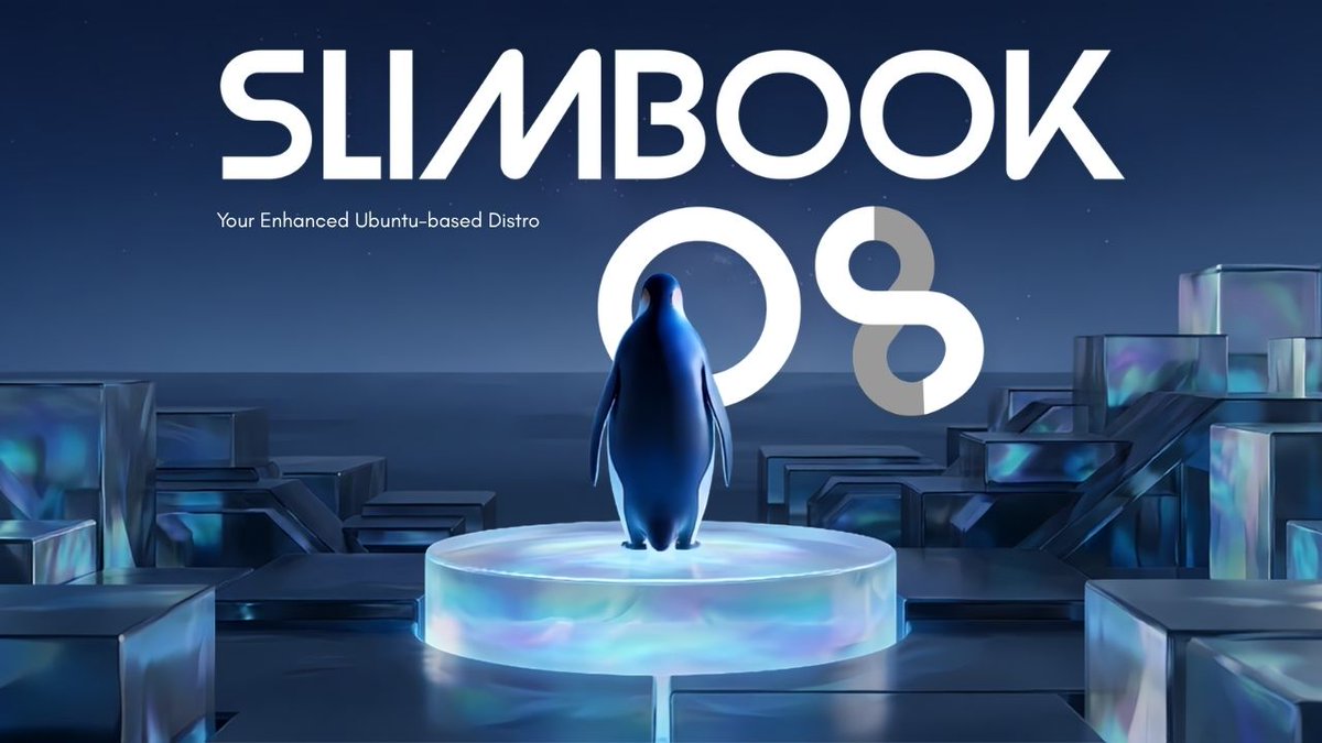 SLIMBOOK tweet media