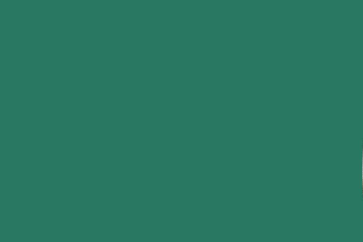 つ ⸝⸝ ⭑ tweet media