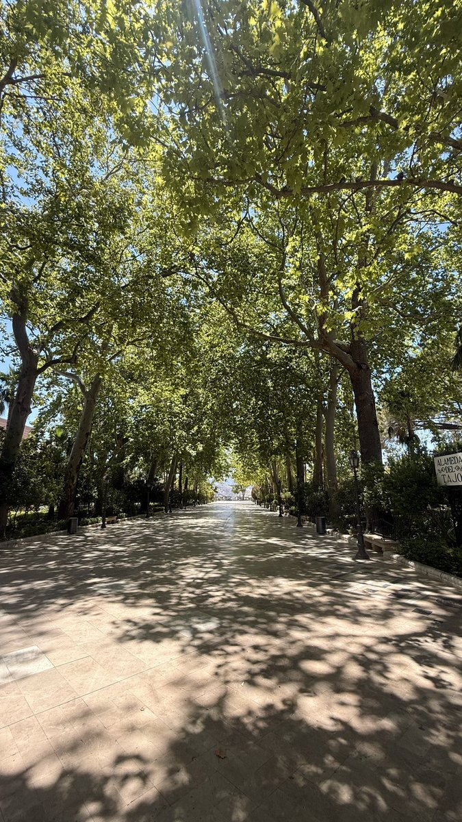 jromanova6's tweet photo. Hola @Ayto_Sevilla les pongo una foto comparativa , La alameda de Ronda vs Alameda de #Sevilla que ven? https://t.co/yJPRp6LNUe