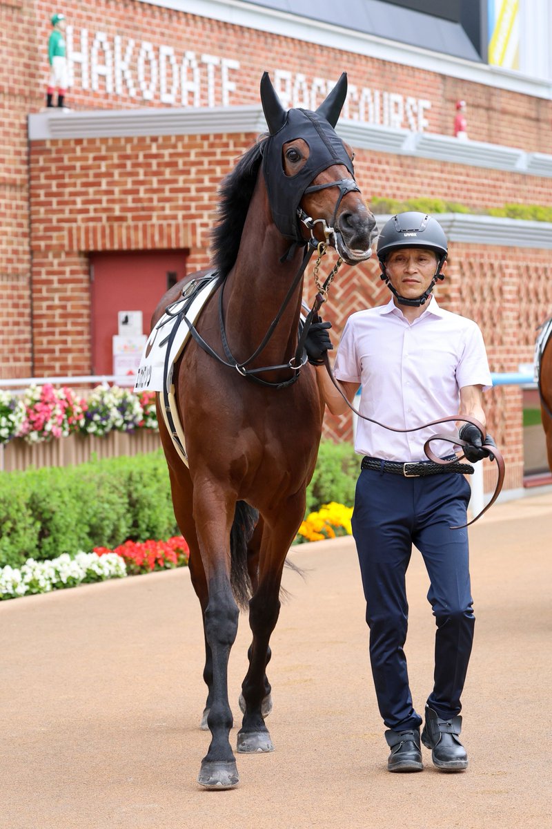 mint_chestnut's tweet photo. 2026/6/27  函館6R  3歳未勝利
#エリカビアリッツ
#佐々木大輔 騎手 https://t.co/VIgsPTEjJa