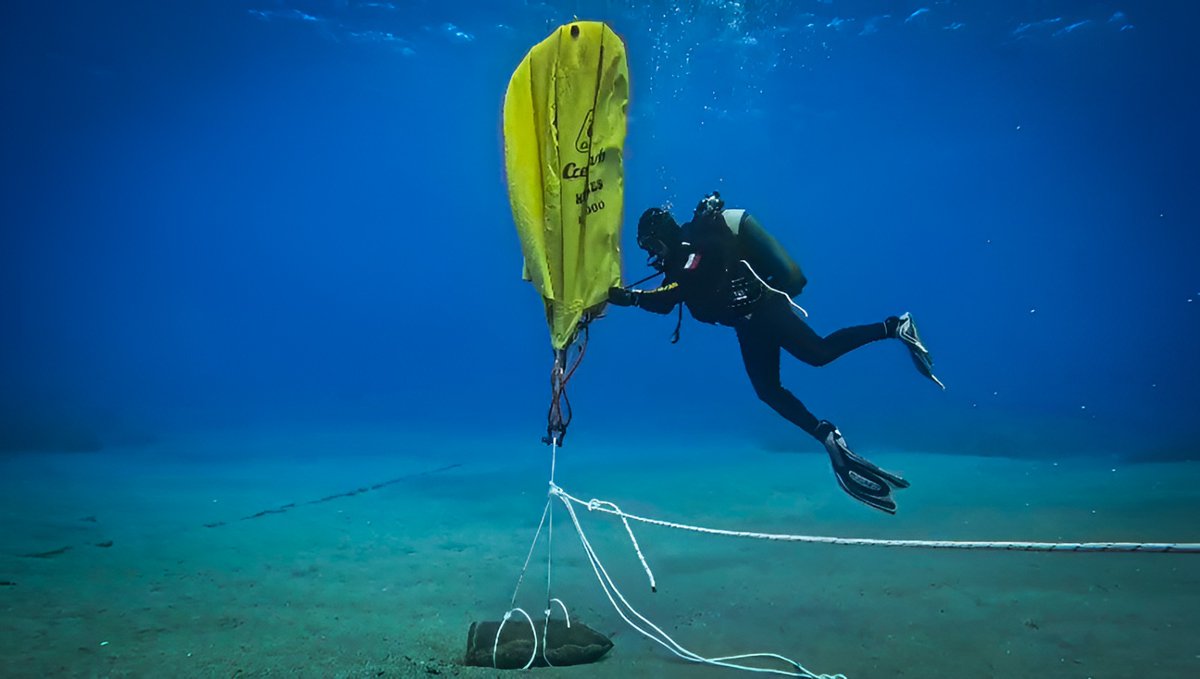 MinisteroDifesa's tweet photo. #SaiChe 🌊 il mare può ancora custodire ordigni bellici inesplosi❓

È successo nelle acque di Mortelle (Messina), dove i Palombari EOD (Explosive Ordnance Disposal) della #MarinaMilitare ⚓ sono intervenuti per individuare, mettere in sicurezza e neutralizzare un proiettile di artiglieria, risalente alla Seconda Guerra Mondiale.

Un'operazione complessa che, dalla localizzazione al brillamento controllato 💥, richiede precisione, competenza e tecnologie altamente specialistiche per proteggere la popolazione, le infrastrutture e l'ambiente marino.

Ogni anno i Palombari della Marina Militare intervengono per recuperare e neutralizzare migliaia di ordigni esplosivi rinvenuti in mare, nei porti, lungo i litorali e nelle acque interne: una capacità d'eccellenza della #Difesa che ogni giorno restituisce sicurezza al territorio e alla collettività. 🇮🇹

⚠️ Se trovi un oggetto sospetto, non toccarlo, non spostarlo e avvisa immediatamente le Forze dell'Ordine.