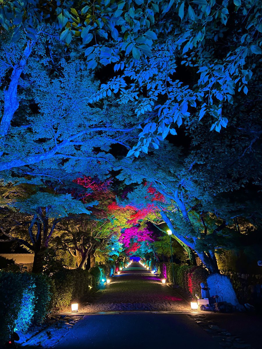shimogamosalon's tweet photo. 8月は西教寺🏮夏詣🌌👘🌙
京都下鴨茶論➡️ #鴨コス コラボ🦆
滋賀県大津市坂本・西教寺🏮
風鈴参道🎐🫧昼枠＆夜枠🌃🌙
コスプレ撮影イベント開催決定🎊
夏のライトアップ期間🌠の
１ヶ月、少人数制、
分散開催致します👍✨
(日程詳細はリプ欄にて)

参加申込は🆕鴨コスDM、
公式LINEまで🦆⬇️
@kamo_cos https://t.co/jVYbU4XRnv