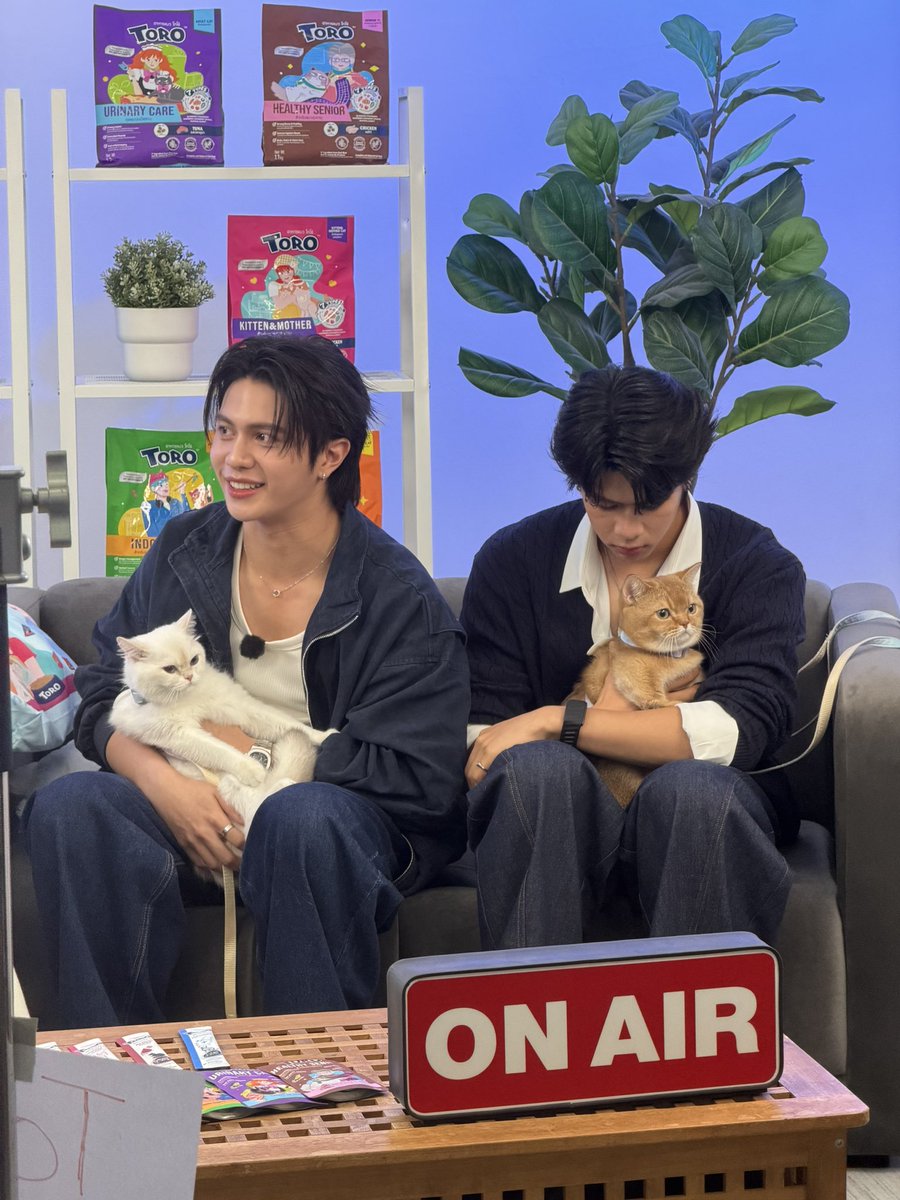 ToroCatFood's tweet photo. ดาราเด็กมาละค้าบบบ รินะ ไลเกอร์ 😻🥳

#TOROLivexWilliamTui https://t.co/d46BNPsWsz