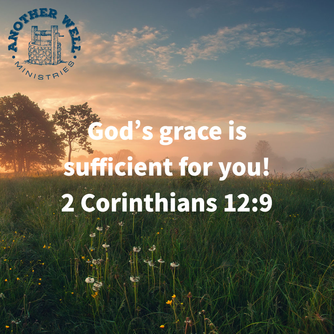 anotherwellmin's tweet photo. God's grace is sufficient for all your needs. ⁠
⁠
#bible #jesus #hope #bibleverse #verseoftheday #pray #church #prayer #jesuschrist #worship #faith #godisgood #christianliving #livegodsword #gospel #god #biblestudy #christianity #christianlife #christian #christ #holyspirit #… https://t.co/XruAe50M45