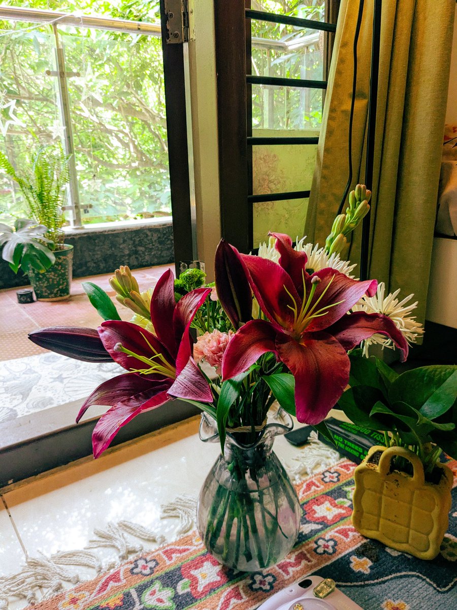 CerulianJ's tweet photo. i dream of being a florist in a small town in Italy sometimes 🍀 https://t.co/VgHUe4mlm8
