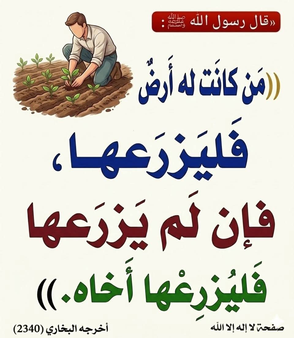 فَـرِيدَة tweet media