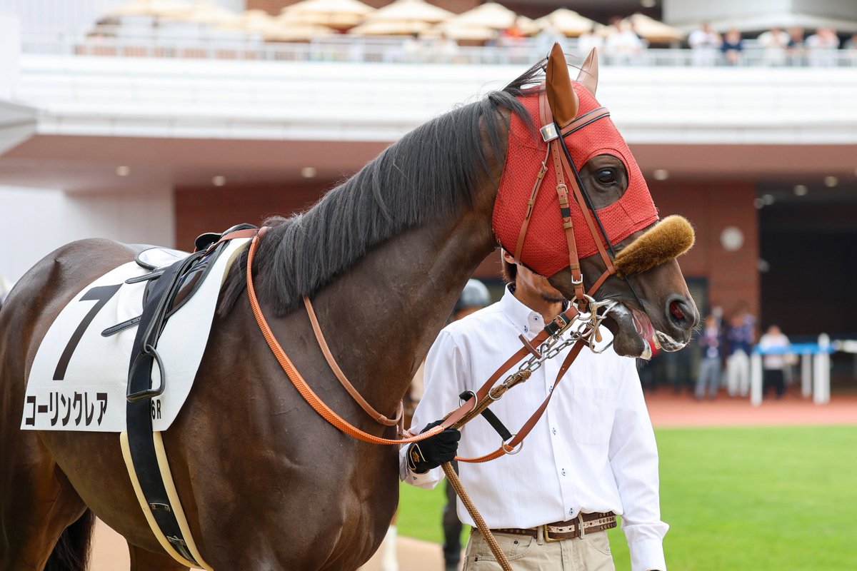 mint_chestnut's tweet photo. 2026/6/27  函館6R  3歳未勝利
#コーリンクレア
#横山和生 騎手 https://t.co/aSrLWJ36Kp