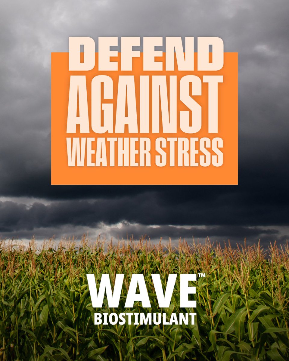 UPLCanada's tweet photo. Mother Nature doesn't always stick to the plan.

From excess moisture to other abiotic stressors, giving your crop additional support can make a difference. WAVE™ biostimulant helps improve nutrient use efficiency, supports plant resilience and works alongside your existing crop protection applications as part of an integrated crop defense system.

Last year's research demonstrated an average 6% (1.9 bu/A) yield increase in Western Canadian canola with foliar-applied WAVE™ compared to untreated crops.

Learn more: https://t.co/zox8oTfpX5