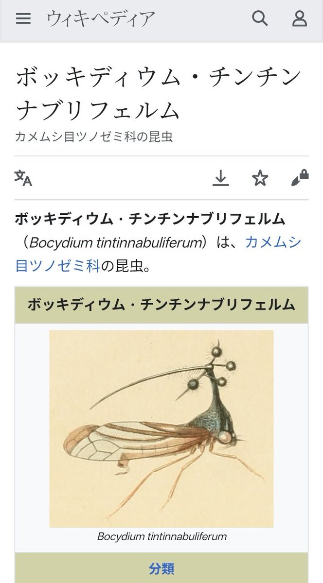 Rats_MHWvv's tweet photo. いやいやいやいやいや！！
まじかこの虫wwww
フォルムと言い名前といいまじかwwww https://t.co/kJGvfAdBhu