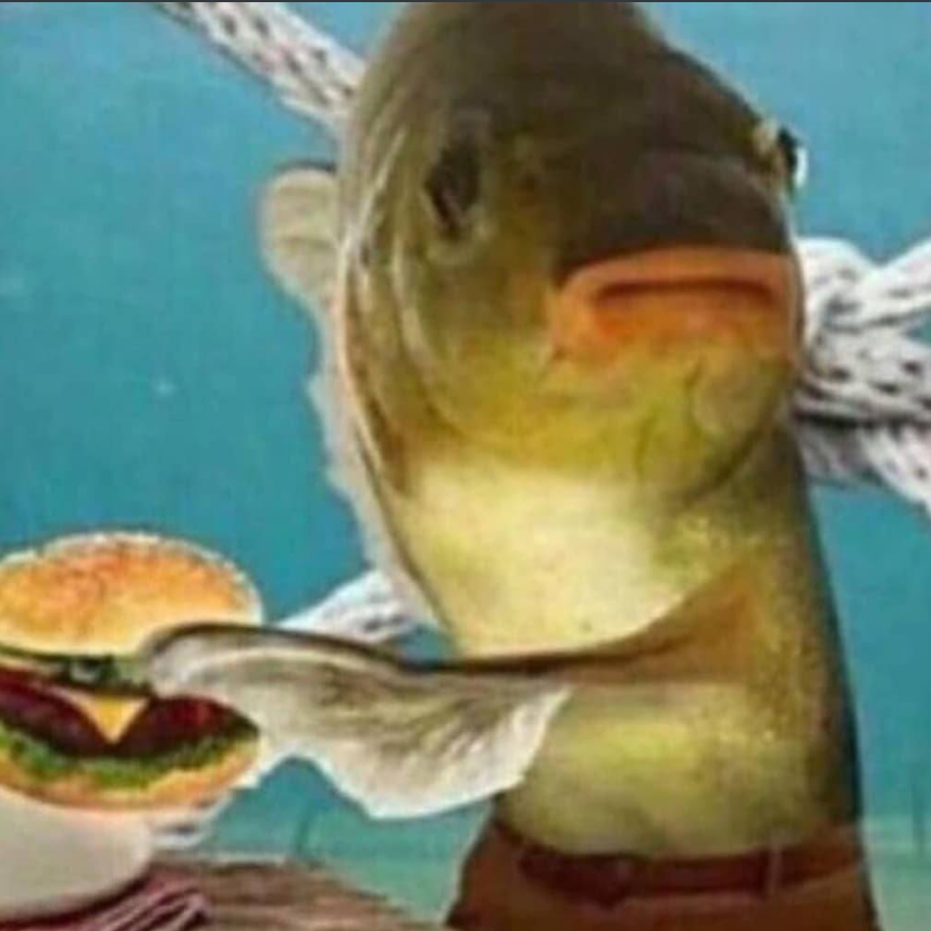 Fish_Groyper tweet media
