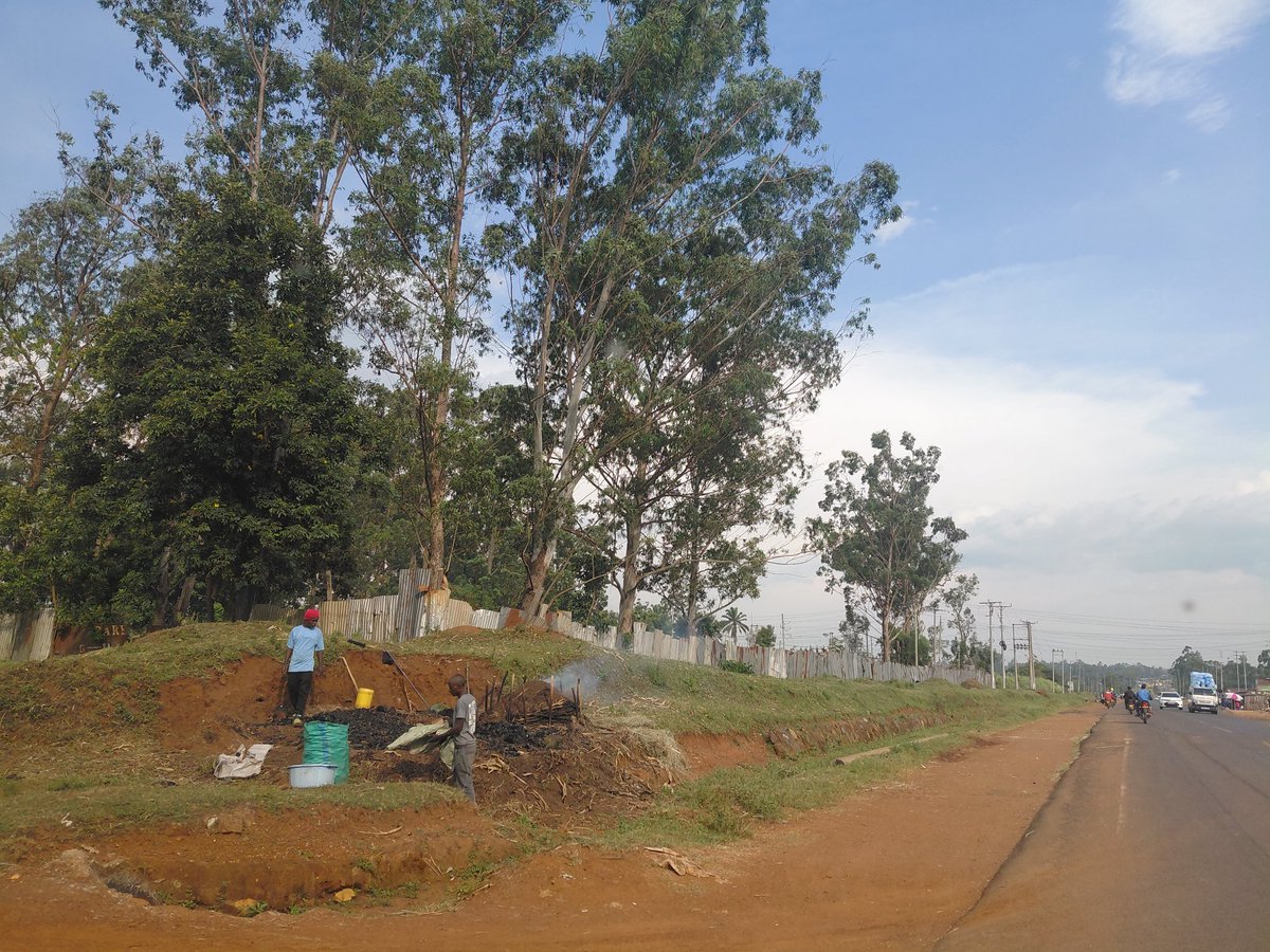 amerix's tweet photo. When Mumias Sugar Collapsed the entire economy around it also collapsed.

Frame 1: These dilapidated one-roomed houses is where sugarcane truck drivers lived. Those who remained behind are now living in squalor.

Frame 2: This was a very active commercial centre inside the complex, just a few meters from the factory. Here, there was:

- Post Office

- Bus Booking offices, in fact, Easy Coach parked here all the way from Nairobi.

- Police Station

- Shops, the first Mumias M-Pesa in 2007, were set up here.

- Nation had an active courier shop here.

Frame 3: These are offices of Asians who were contracted to transport cane. They owned hundreds of trucks and tractors. The place is now a shell.

Frame 4:  Former employees of the company have resorted to doing menial jobs like burning charcoal to make a living.

Fuck you, Kidero.