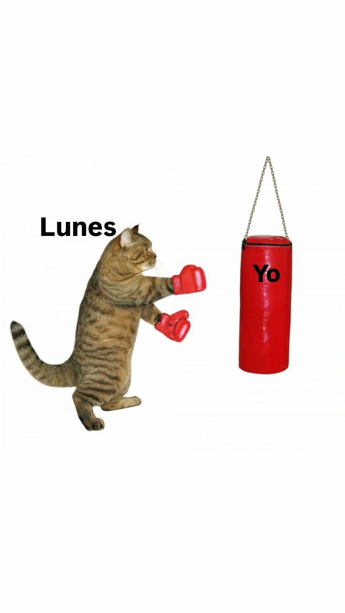 Lexnium's tweet photo. Gm chicos, otra vez es lunes https://t.co/yt9KTe7JUM
