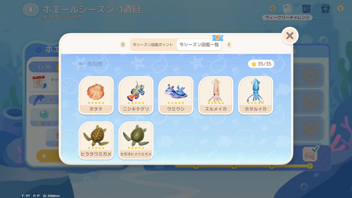 chiminheartopia's tweet photo. やっとヒラタウミガメが取れた…来るの遅いよ～！ https://t.co/L9TkVxMfss