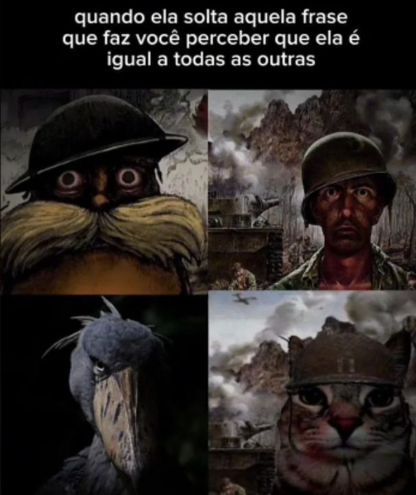 Traficante de Memes tweet media
