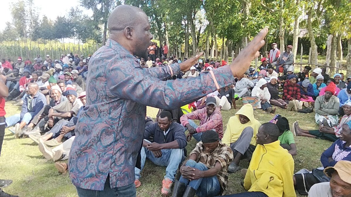Honcalebamisi's tweet photo. Today evening , I concluded my three day visit to Ol kalou Constituency. To stand in and boost campaign of a little known Timothy Kamau Kariuki (Timo) vying on the newest party in town, the People's Renaissance Movement  (PM party) .

A 26 year old candidate whose main means of transport in the campaign was a donkey, I leave Ol kalou,having popularised Timo from a boy hardly knowm beyong his local primary school to now among the top 3 contestants in the by election.

How I wish I came earlier.

I am proud because I have helped an ambitious young man to participate in a high voltage election, marred by chaos, voter bribery ,massive use of state resources and hundreds of big wigs supporting older well established candidates.

This is a win. 

A win to millions of young Kenyans who believe Kenya has a place for them too; who compete without a family name, without a God father and deficient of resources to navigate the highly capital intensive, tribal political environment whose main strength is the burning desire to serve their country from the position of high authority.

Timothy Kamau Kariuki,has shown the way, and PM party proves to be the party for the youths,irrespective of the outcome of this election,he has already won. 

From a college student dubbed Genz protester against finance bill of 2024, to a potential winner in a highly state sponsored  by election.

Even if, in the unlikely event, he does not make it on thursday ,definitely he stand as the next MP in the 2027 election. 

It was nice while it lasted in Ol kalou.

The warm welcome, the highly cosmopolitan town bustling with serenity, green, iced with soft nyama choma outlets. It was captivating to walk down the small villages of highly welcoming and friendly natives ,ready to listen to visitors and offered us audience even when we did not carry money.

I salute you Ol kalou. I love you Ol Kalou. You remain the best voters after my great people of Saboti, that I have ever met since I started politics. 
May the grace of our dear Lord follow you;may His light shine upon you all the days of your lives and may you be blessed beyond your fourth (4th) generation.

I will definitely come back to say thank you.

Kenya needs a renaissance!