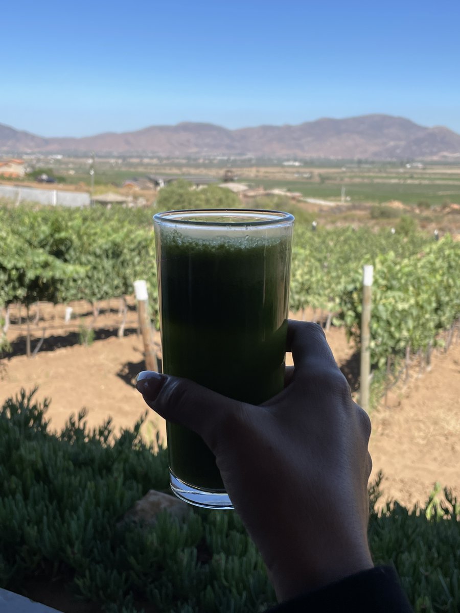 parvinkaidi's tweet photo. One afternoon in Valle de Guadalupe is often enough to understand why so many people return. The lifestyle is as compelling as the destination. #WineCountry #LuxuryTravel https://t.co/BS5C8yaXCB