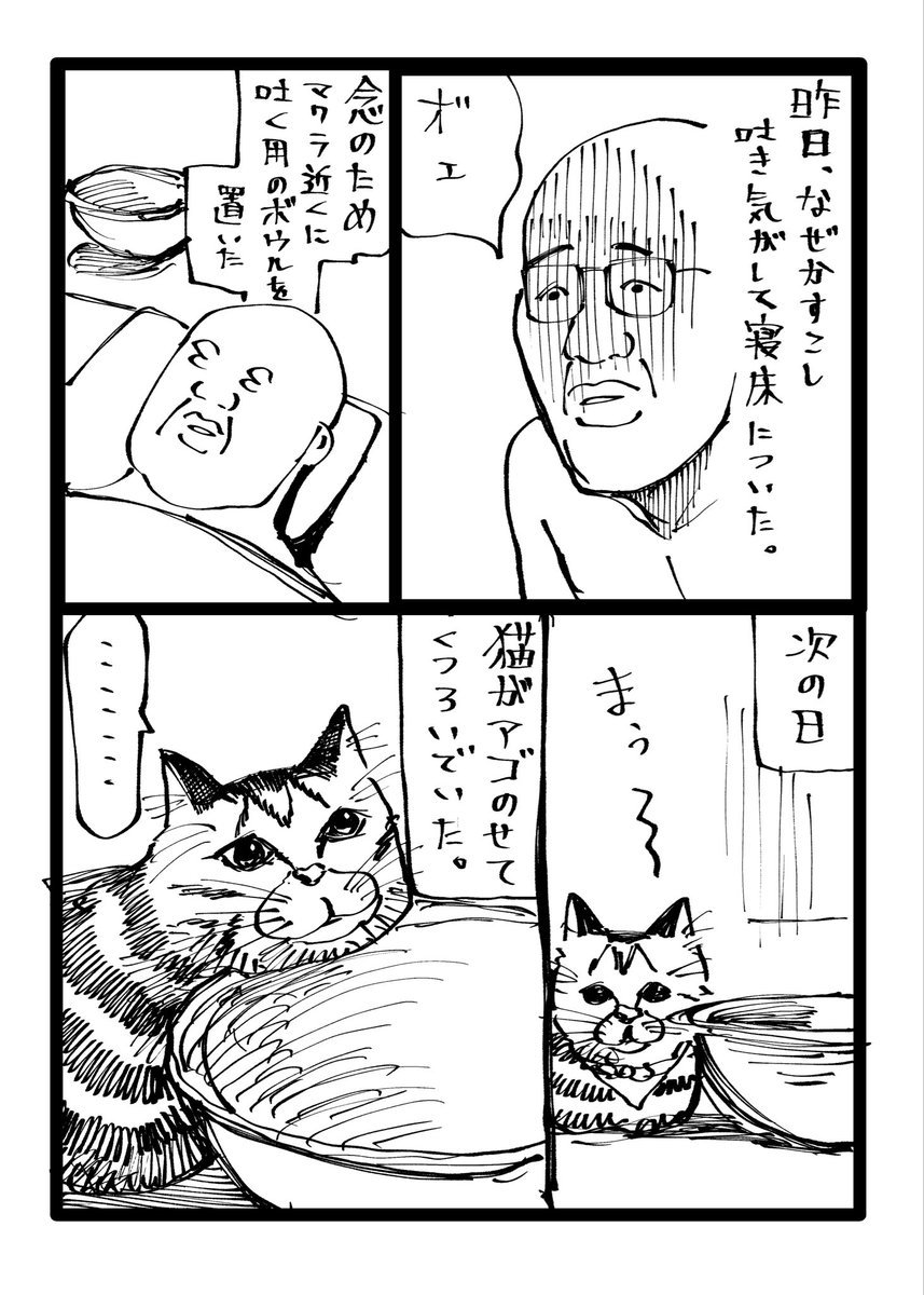 zabieraaaaaaa's tweet photo. 久々に猫日記 https://t.co/2jQJSSr0Pv