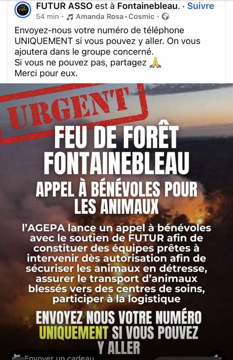 tabourelgenevi1's tweet photo. Appel à bénévoles pour animaux à Fontainebleau https://t.co/xo9jQ74vGI