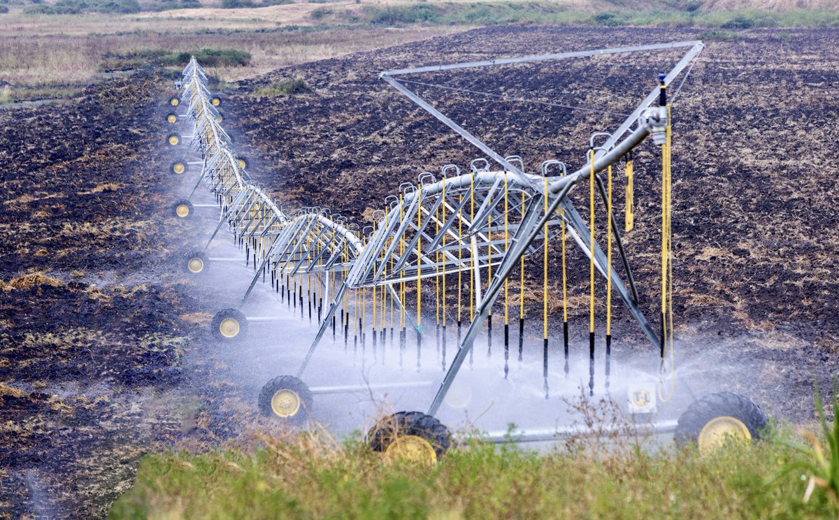rbarwanda's tweet photo. Minisiteri y'Ubuhinzi n'Ubworozi yatangaje ko irimo gukorana n'izindi nzego mu gushaka umuti w'ikibazo cy'igiciro kiri hejuru cy'amazi yifashishwa mu kuhira imyaka mu cyanya cy'ubuhinzi cya Gabiro (Gabiro Agri-Business Hub) giherereye mu Karere ka Nyagatare.

Iki ni kimwe mu bibazo abashoramari bakorera muri iki cyanya baherutse kugaragariza Minisitiri w'Intebe, Dr. Justin Nsengiyumva, ubwo yabasuraga mu mpera z’icyumweru gishize. #RBAAmakuru