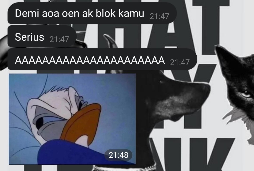 czortis's tweet photo. liat, dia yg mint dipanggil "sayang" dia yang kek gini wkwk. https://t.co/heTVDIM8iC